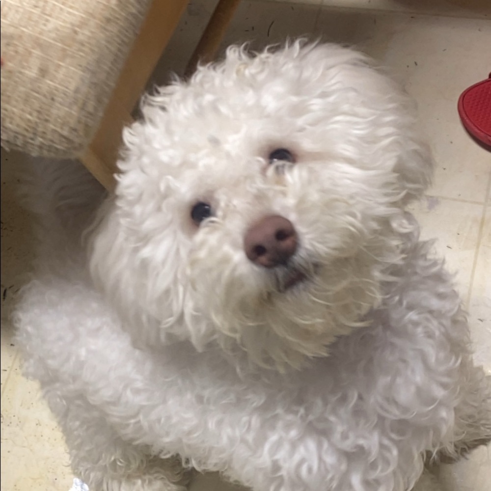 Meet your Posher, Sheila